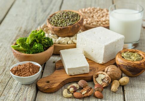permitted foods on a protein diet